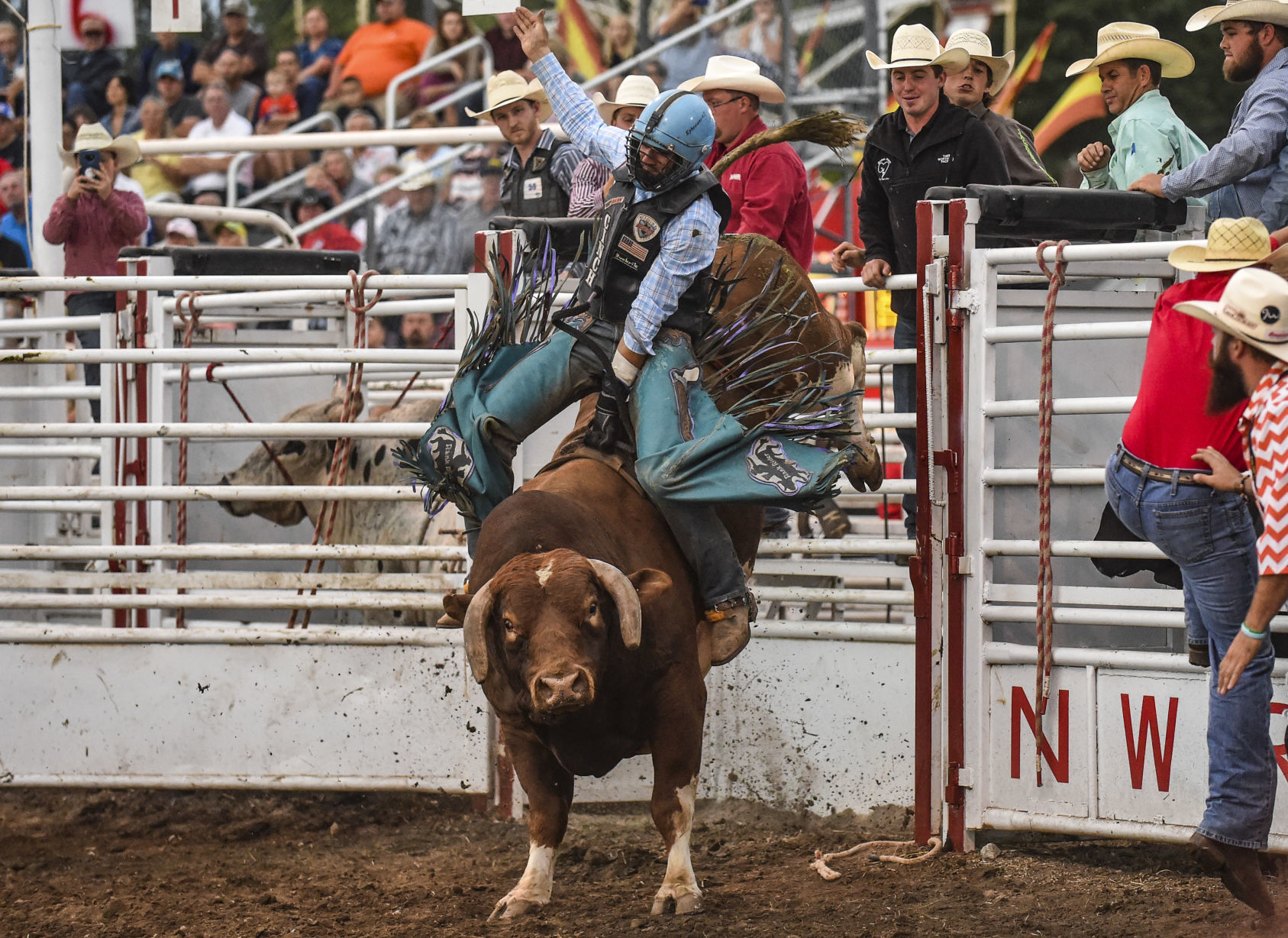 081619-mda-nws-rodeo-32.jpg